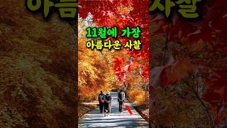 🔥 11월에 가장 아름다운 사찰 단풍 명소 가을여행지 #여행추천 #방문할곳 #시니어건강 #시니어여행