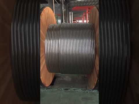 ACSR Conductor