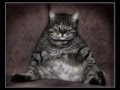 Песня про КотЭ 