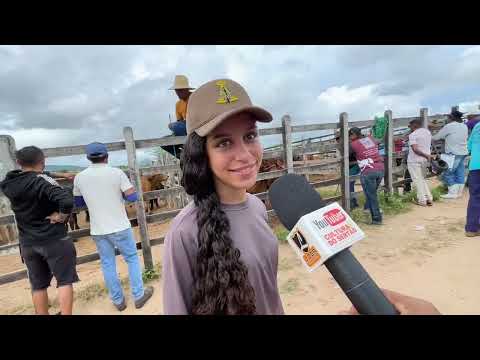 Feira do Gado em Senador Rui Palmeira - AL 31 - 03 - 2026 #nordeste 