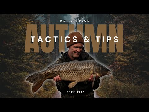 Darrell Pecks Autumn Tactics, Layer Pits