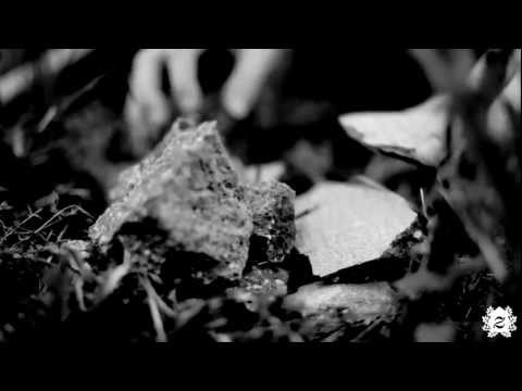 Zalker Sessions - Jesse Woodson - My eyes are dry