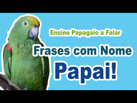 Phrases for parrots to speak - teach your parrot to speak phrases with "daddy"
