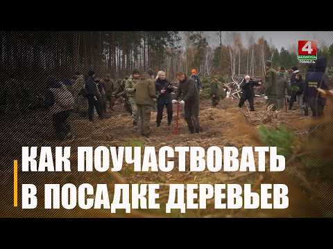 Акцент – на  знаковые объекты! Республиканская акция «Лес! Добро! Порядок!» пройдет на Гомельщине