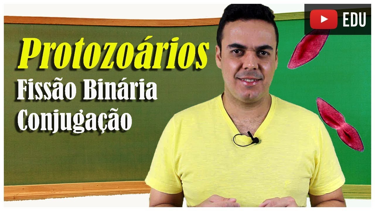 Protozoários 3   Tipos de Reprodução, Fissão Binária e Conjugação