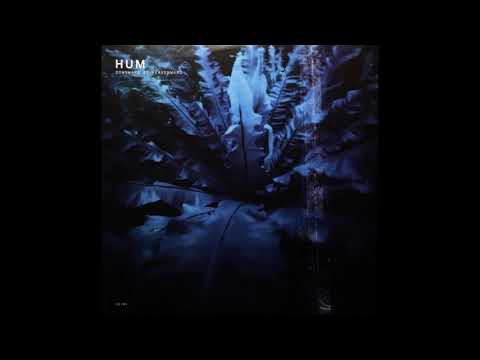 HUM - Downward Is Heavenward (2018) [12"]