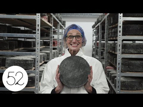 download lagu mp3 mp4 Cornwall Cheese, download lagu Cornwall Cheese gratis, unduh video klip Cornwall Cheese