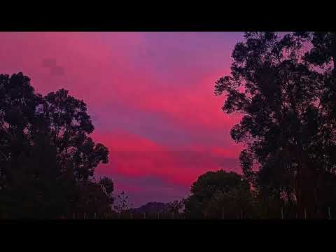 Lainx - Apatheia (Official Audio)