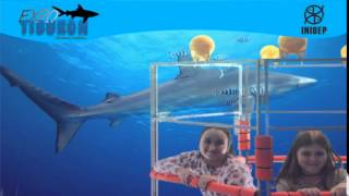 DIA 3 Expo Tiburon117