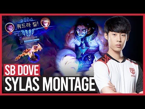 [Solo Rank] 샌드박스 게이밍 도브 선수 사일러스 쿼드라킬! | SB Dove Sylas Quadra kill