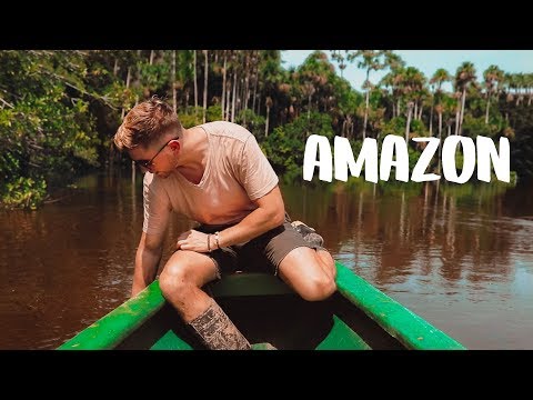 image-Do alligators live in the Amazon?