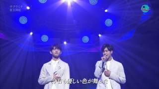 [150302] TVXQ - Sakuramichi @ NHK Music Japan