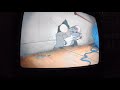 Closing To The Aristocats 1996 VHS