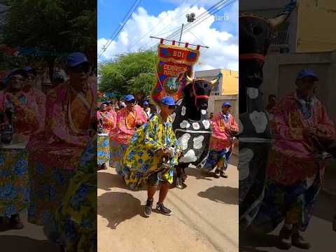 Boi Maguary, Boi de Carnaval de Nazaré da Mata - PE 🌿🐃🎊