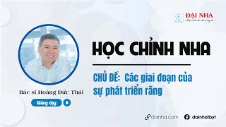 [Học chỉnh nha] - Các giai đoạn của sự phát triển răng. Giảng dạy bác sĩ Hoàng Đức Thái.