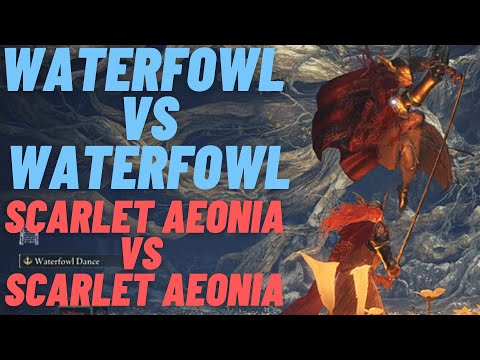 Malenia Build vs Malenia: Waterfowl vs Waterfowl Solo, No heal NG+3 Upgrade+4 Scarlet Aeonia Phantom