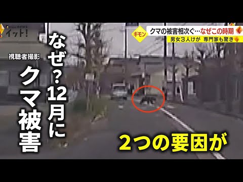 いつ冬のベールをかぶるかを知ることがなぜ重要なのでしょうか?効果はあるのでしょうか？  庭園