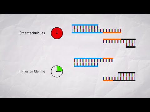 In-Fusion® Cloning vs. other seamless cloning technologies