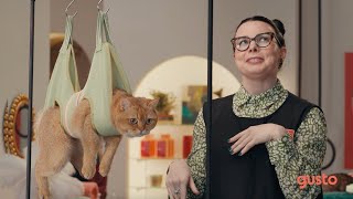 Gusto If you had to choose... herding cats or building?