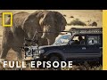 Desert Full Episode Secrets Of The Elephants Executive Produced By James Cameron
