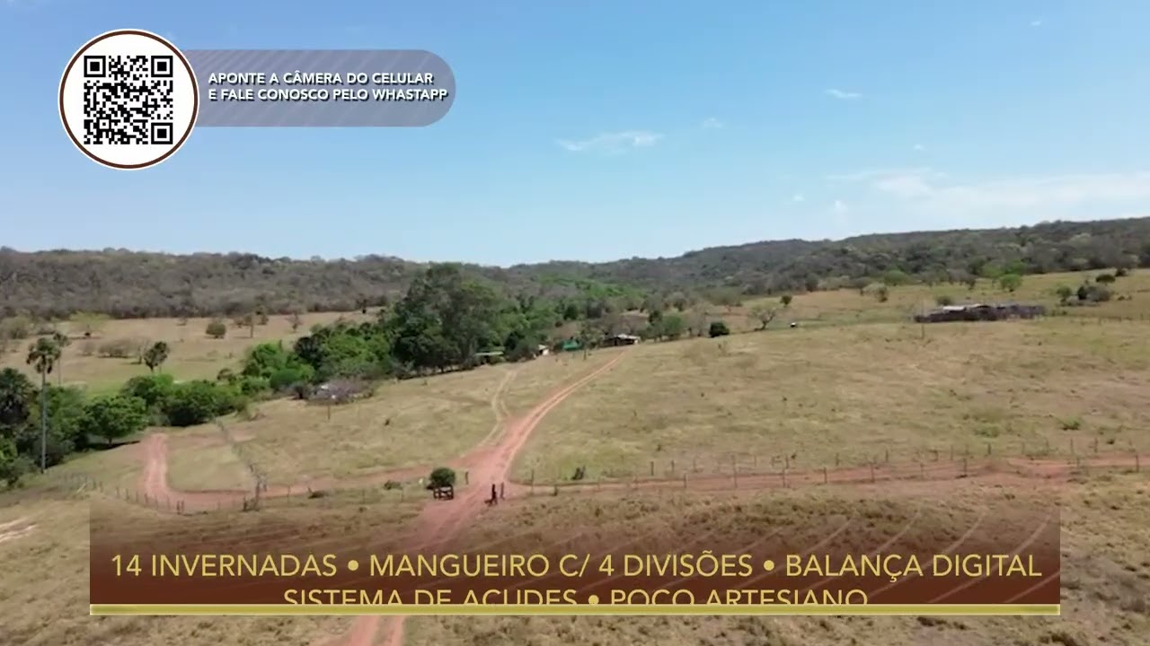 Terralmo 3: Fazenda à venda em Rio Negro/MS