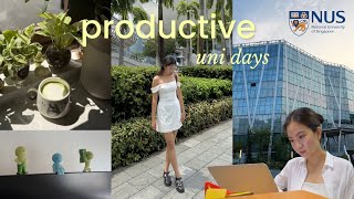 final year NUS student diaries  🎓 how i balance uni, job hunting & rest