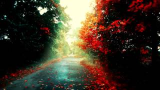 &#39;Autumn Colours&#39; - Chillstep Mix