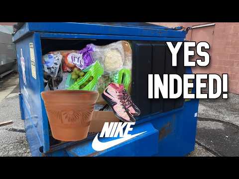 Dumpster Diving- Nike Shoes, Terracotta Pot, Flea Market + The Critter Cam
