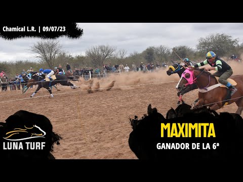 HIP. "EL QUEBRACHAL" CHAMICAL L.R. || 09/07/2023 :: MAXIMITA; PERLA NEGRA; JUANCITO; MAFALDA; WILSON