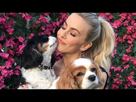 Julianne Hough's Heartfelt Tribute to Her Dogs by USA News