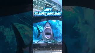 Jaws, Nassau Bahamas #okaytravel #cruiselife #travel #nassau #nassaubahamas #jaws #shark #cruise