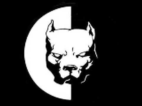 Digital Dee - Blue Kiwi