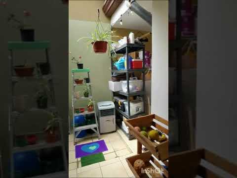Imagen de Venta de Casas en San rafael abajo - Desamparados San Rafael Abajo - SAN JOSÉ