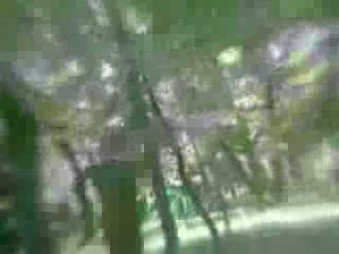 MIRCEA TIBERIAN/ A BIRD'S EYE VIEW