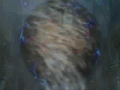 Koudelka Movie 10 The Gargoyle