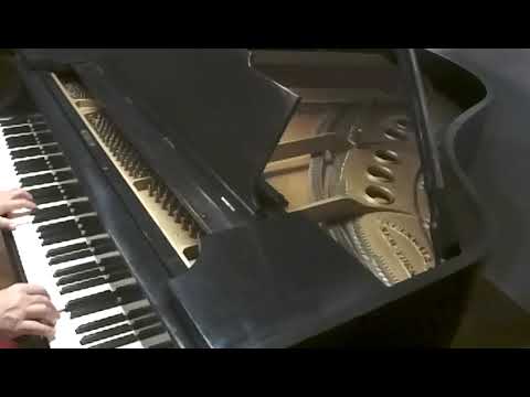 Steinway & Sons Model M – Ebony Grand Piano – 5'7 image 9