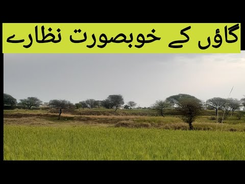 khubsurat hai nazara/beautiful nature images/ jabeen library