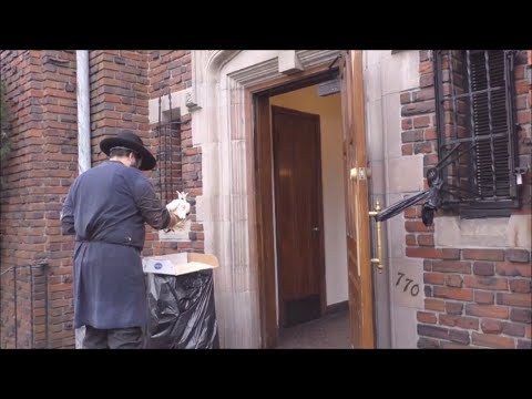 ה"כפרות" של הרבי שליט"א מלך המשיח