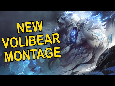 NEW VOLIBEAR IS TOO GOOD