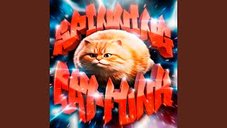 Download lagu SPINNING CAT FUNK mp3