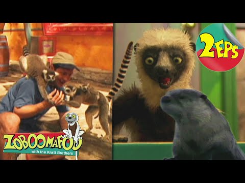 Happy Lemur Day + Swimming | Zoboomafoo - Double Feature | Full Episodes 05 + 06