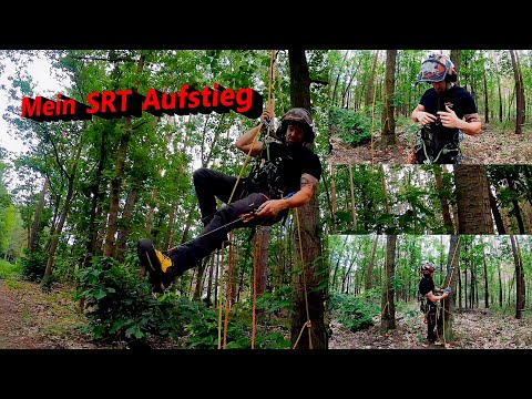 Youtube, we have a problem 🙄 My SRT promotion ☝️ Bades Baumdienst 🌳