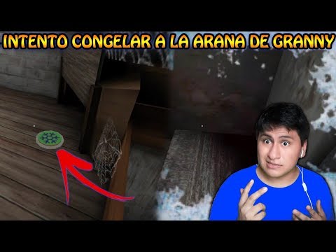 INTENTO CONGELAR A LA ARAÑA DE GRANNY Y SALE MAL...