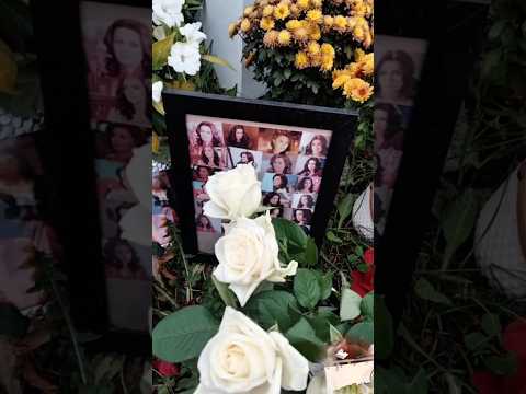 Как сегодня выглядит могила Анастасии Заворотнюк / 10.09.2024 Троекуровское кладбище #заворотнюк