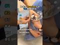 Rating Funniest Cat Vet Moments