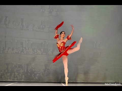 Don Quixote | Kitri Variation Act 3 | Antoinette Pylarinu