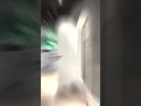 CUTE Chinese Female muscle girl flex #shorts #femalebodybuilder #fitness #biceps #gym #cutegirl