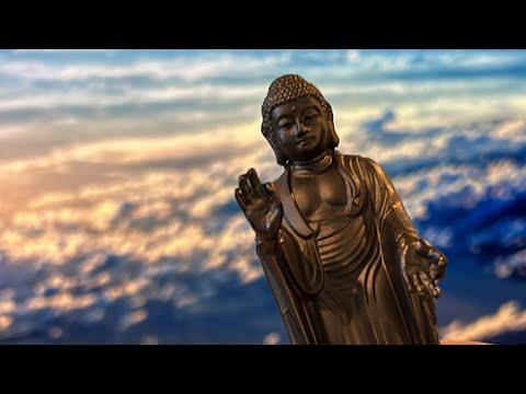  ロビンの好きな食べ物は何ですか?彼らは冬に何を食べますか？彼らが愛する6つのこと！  庭園