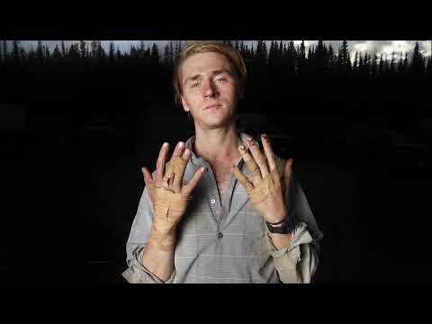 Forest for the Trees