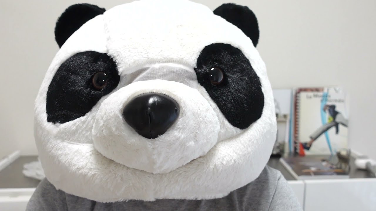 買って後悔したもの3選〈カインズ、IKEA、電化製品〉